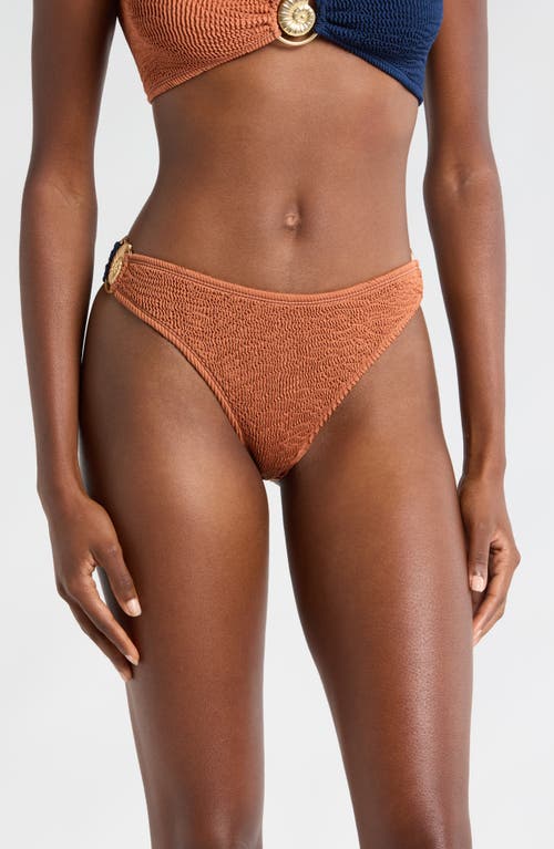 CLEONIE Billabong Bikini Bottoms in Navy Espresso 