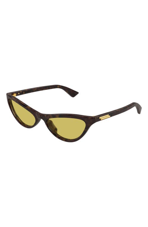 Bottega Veneta 56mm Cat Eye Sunglasses In Brown