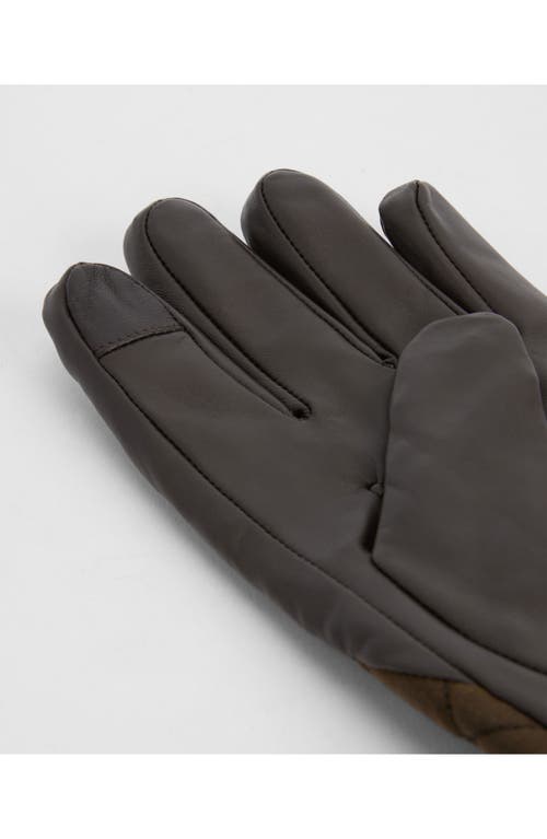 Barbour Dalegarth Gloves In Brown