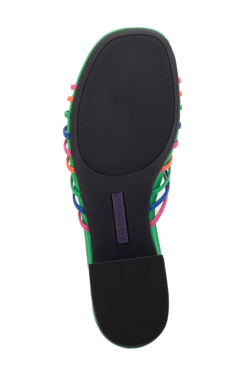 David Tate Excellent Strappy Slide Sandal In Multi