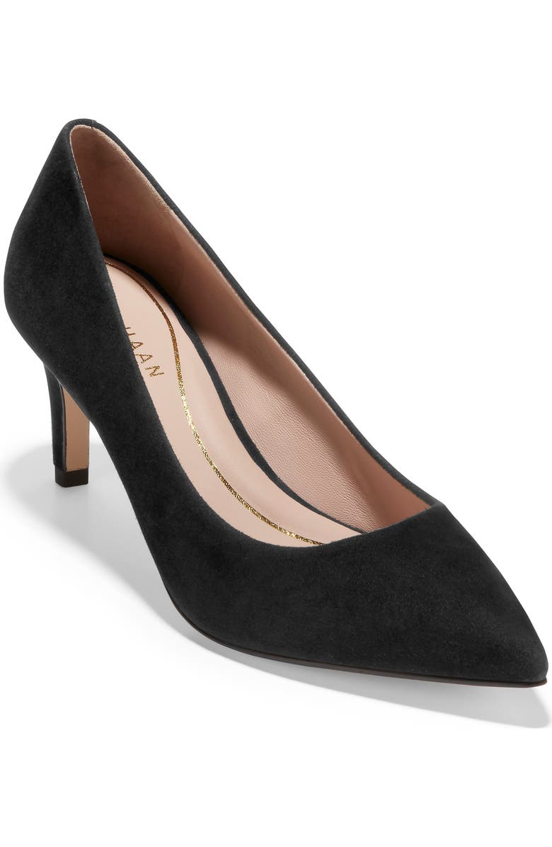 Cole Haan Vandam Pointed Toe Pump, Main, color,