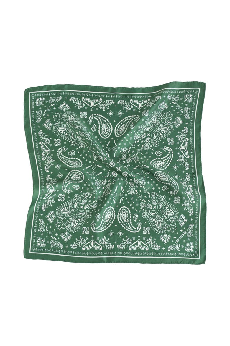 "Paisley" Silk Bandana Scarf, Alternate, color, Sagebrush Green