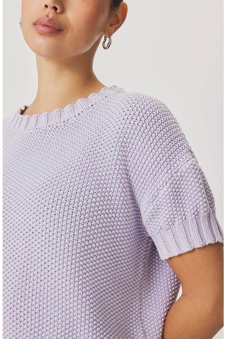 Annmarie Cotton Sweater, Alternate, color, LAVENDER PURPLE