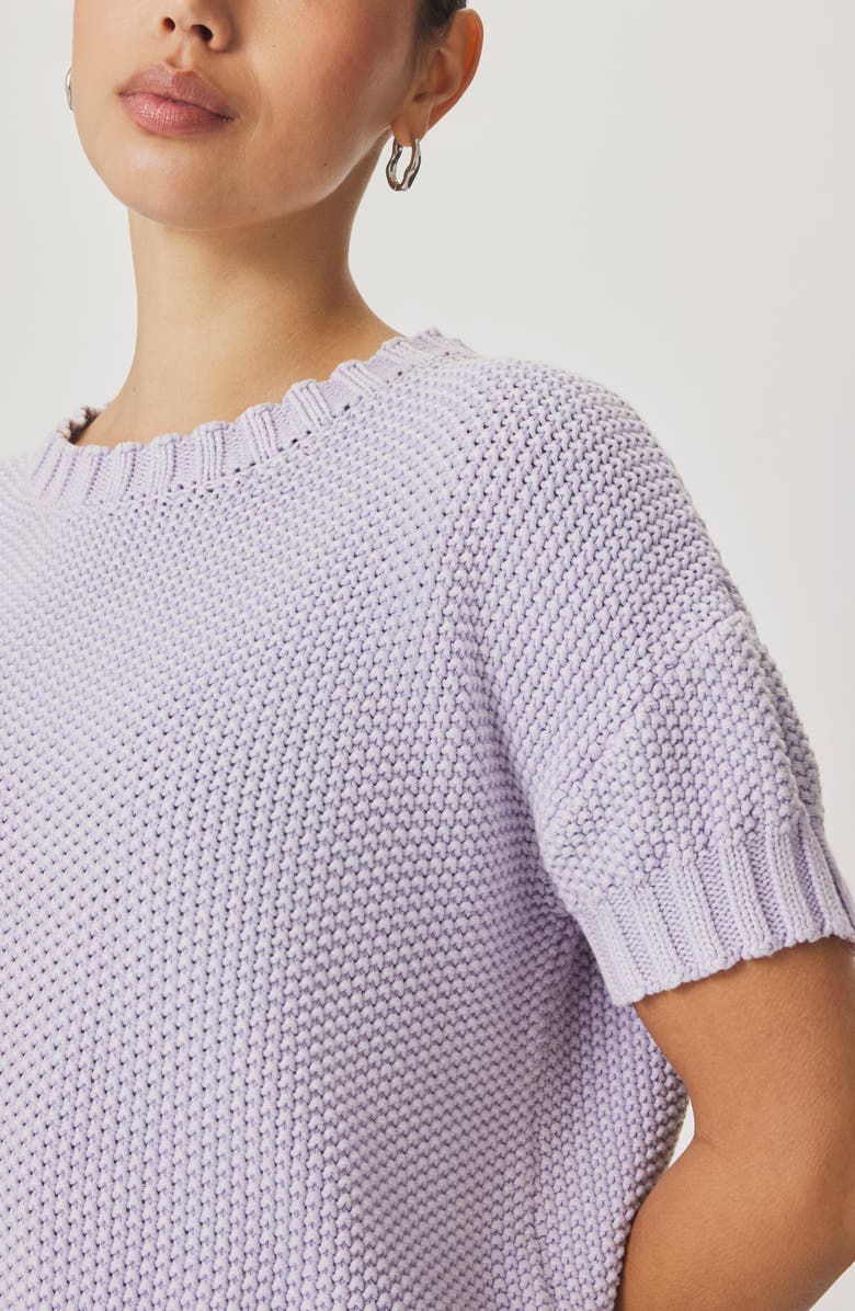 Splendid Annmarie Cotton Sweater, Alternate, color, Lavender Purple