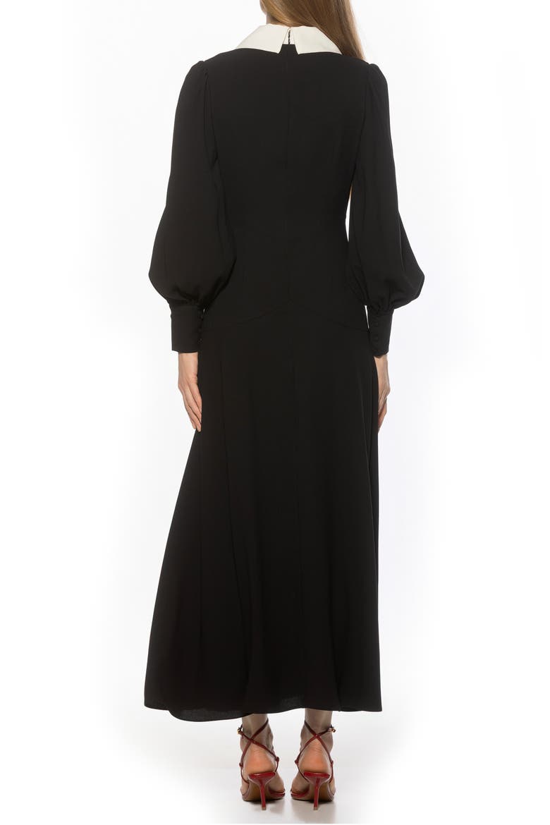 Kate Collared Long Sleeve Maxi Dress, Alternate, color, BLACK/ IVORY