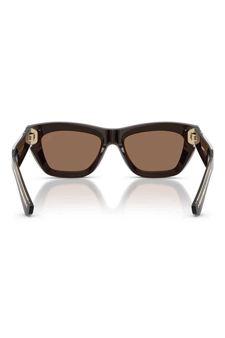 51mm Cat Eye Sunglasses, Alternate, color, BROWN