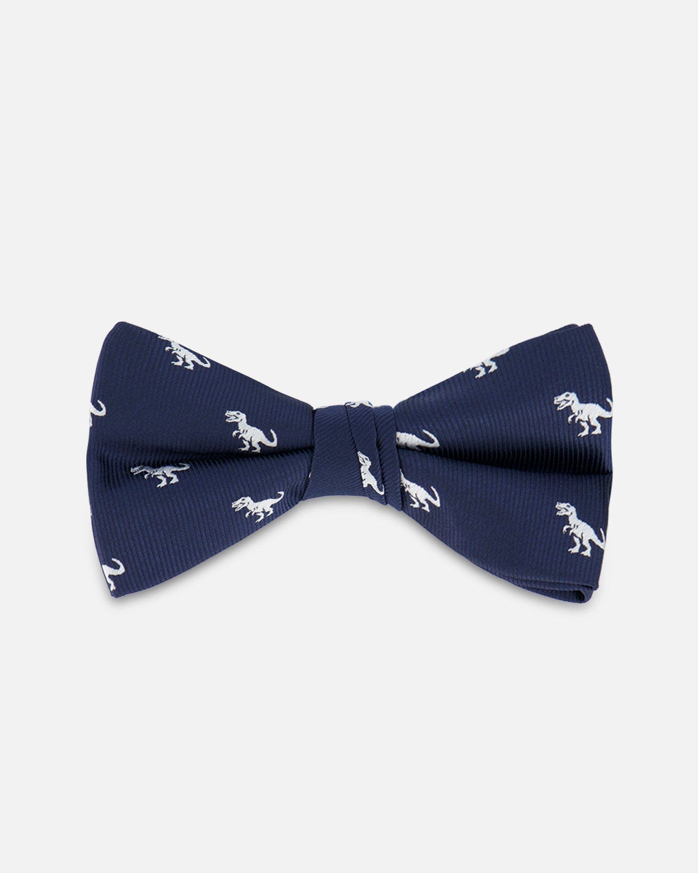 selected Blue Dino Print