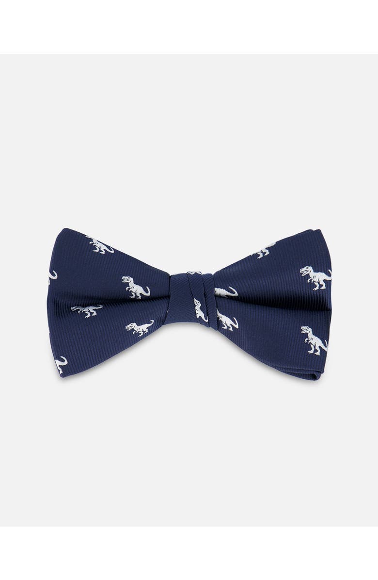 Deux par Deux Dino Bow Tie, Main, color, Blue Dino Print