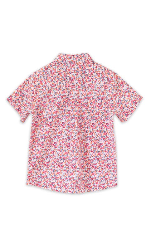 Beet World Boys Collar Shirt In Red And Blue