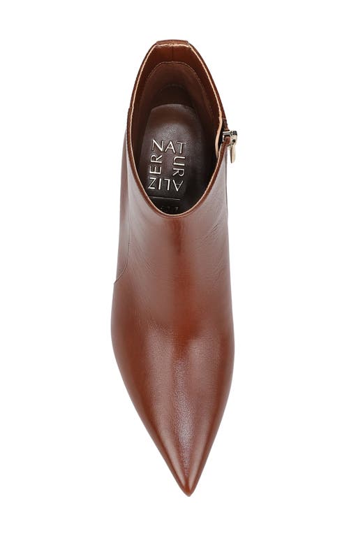 27 Edit Naturalizer Patrese Pointed Toe Kitten Heel Bootie In Brown