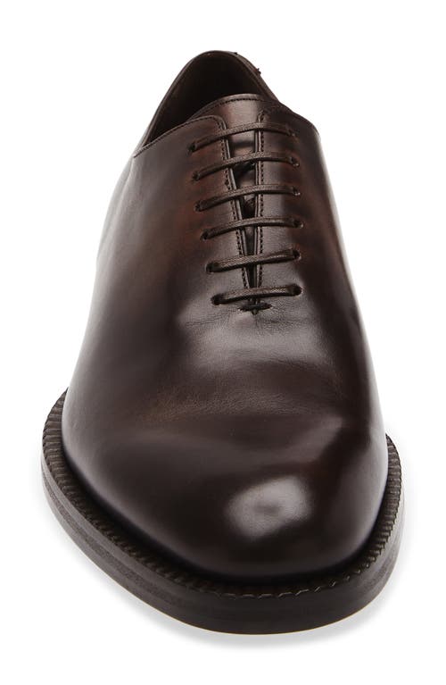 Ferragamo Dark Brown Leather Amber Lace-up Shoes In Brown