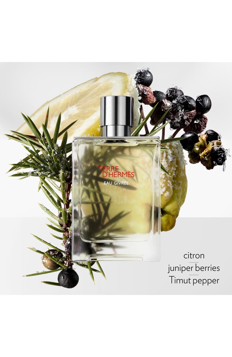 Hermès Terre d'Hermès Eau Givrée - Eau de Parfum, Alternate, color, Regular
