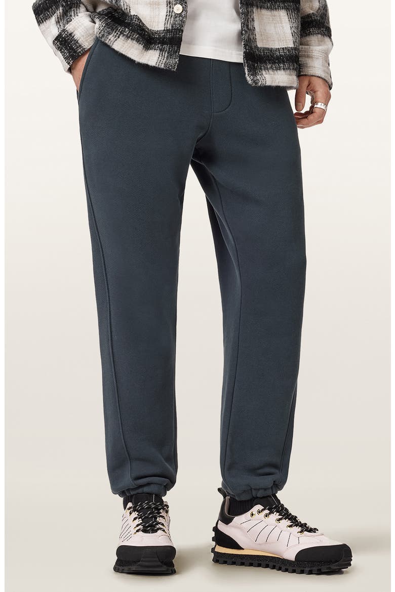 Haven Cotton Joggers, Main, color, MOONSTONE BLUE