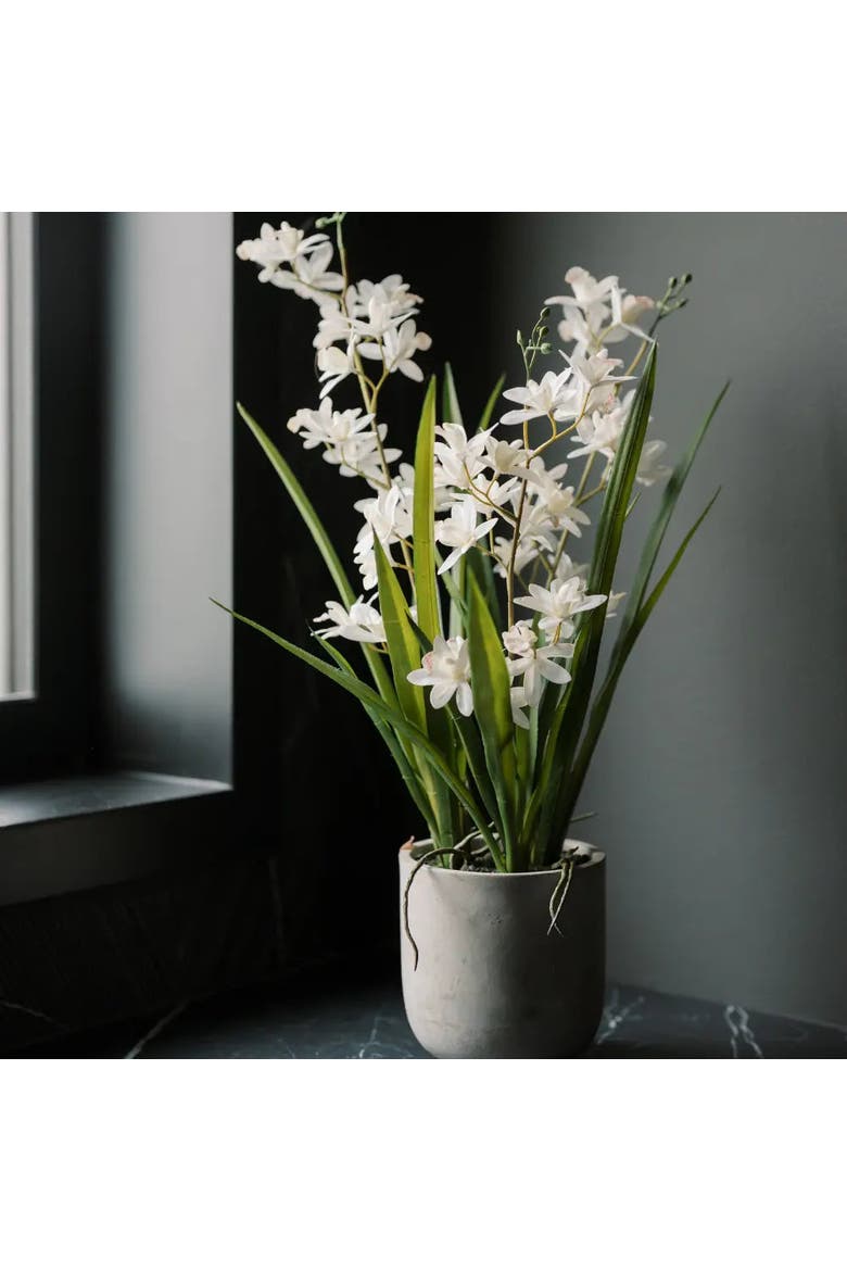 20.5" Artificial White Orchid in Stone-Grey Vanda Pot, Main, color, White