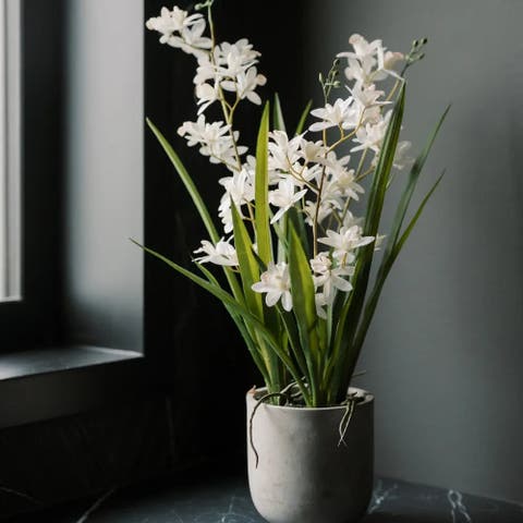 20.5" Artificial White Orchid in Stone-Grey Vanda Pot