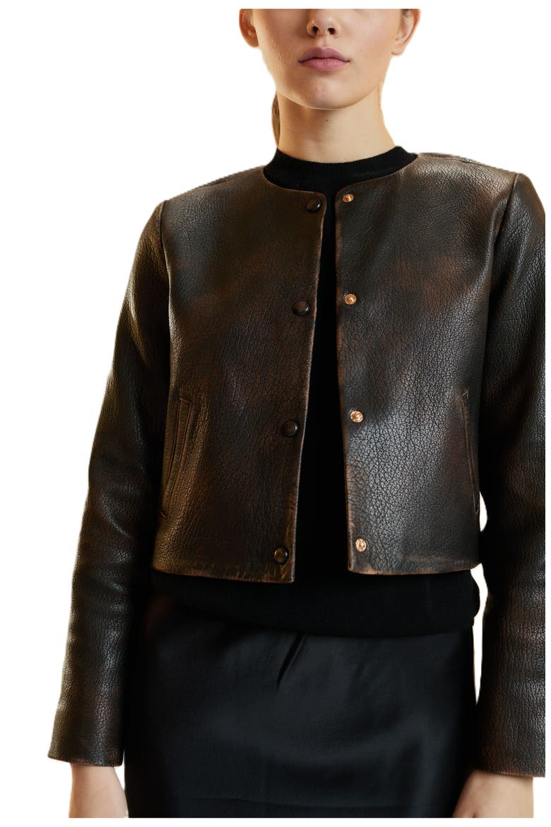 Leather Jacket, Alternate, color, Brown