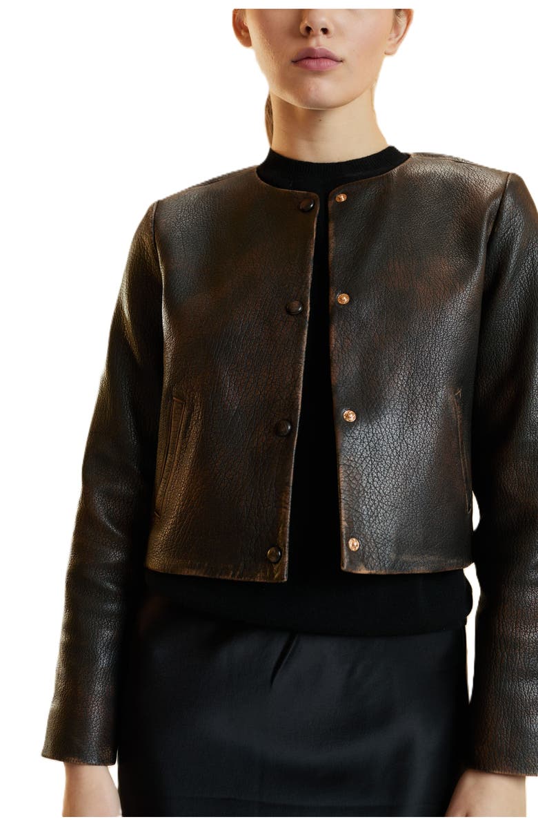 Cynthia Rowley Leather Jacket, Alternate, color, Brown