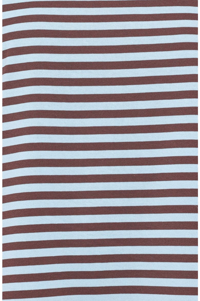 Ruva Stripe Long Sleeve T-Shirt, Alternate, color, BROWN BLUE STRIPE