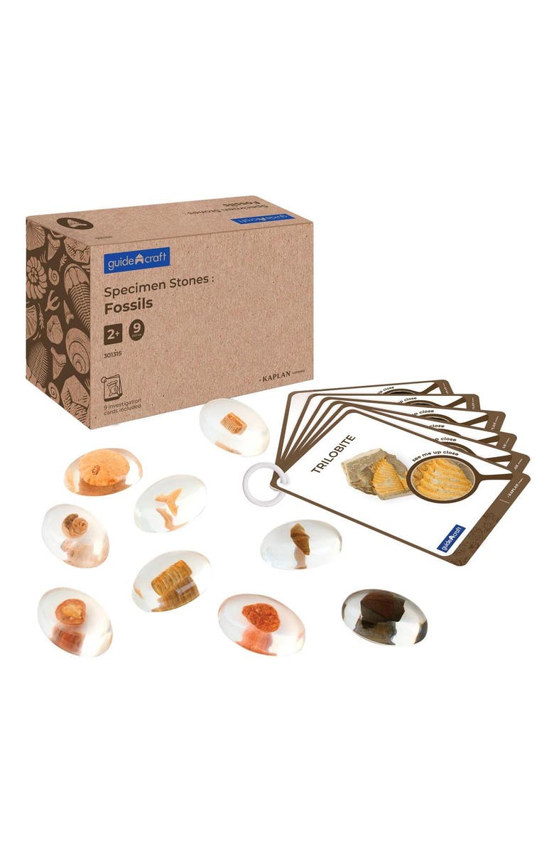 Kaplan Early Learning Company Specimen Stones Fossils - 9 Stones, Main, color, Multicolored