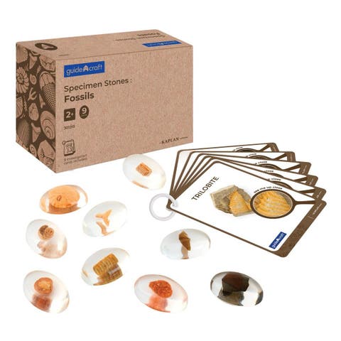 Specimen Stones Fossils - 9 Stones