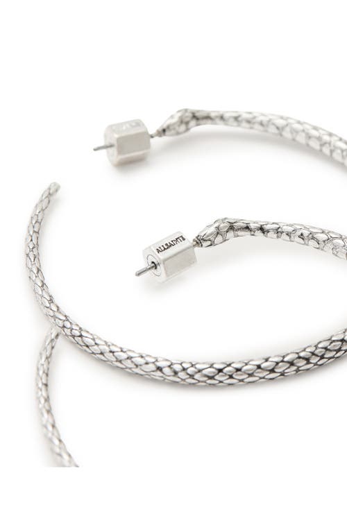 Shop Allsaints Serpentine Hoop Earrings In Warm Silver
