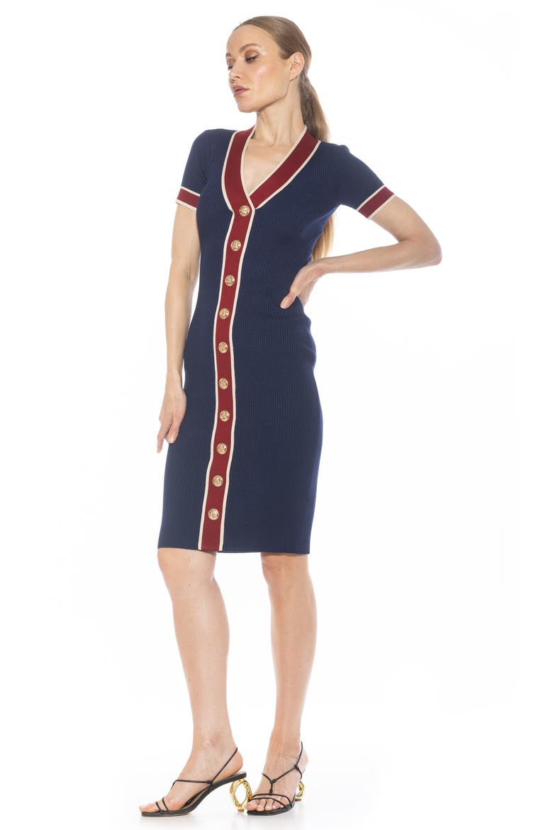 Otto V-neck Short Sleeve Ribbed Sweater Dress, Alternate, color, NAVY
