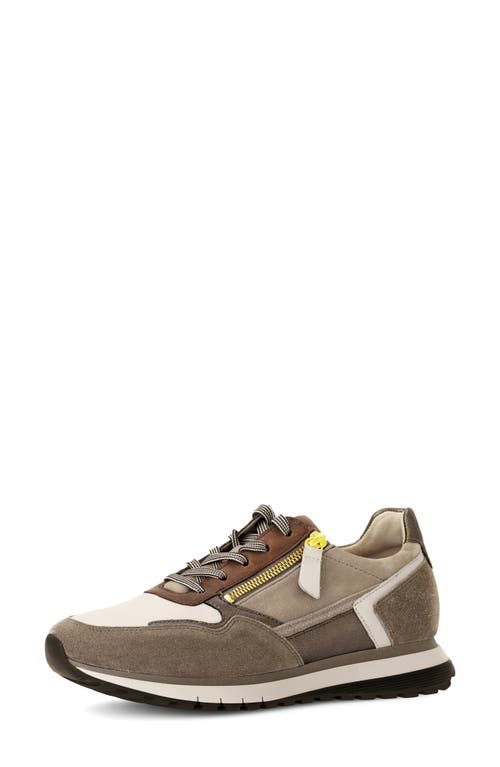 Gabor 56.378 Zip Sneaker In Multi