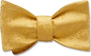 Beau Ties of Vermont Gosfield Bow Tie