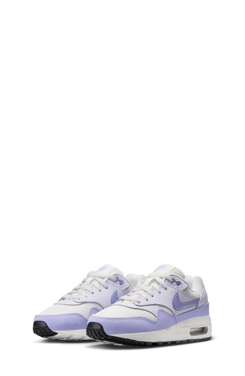 Nike Kids' Air Max 1 Sneaker