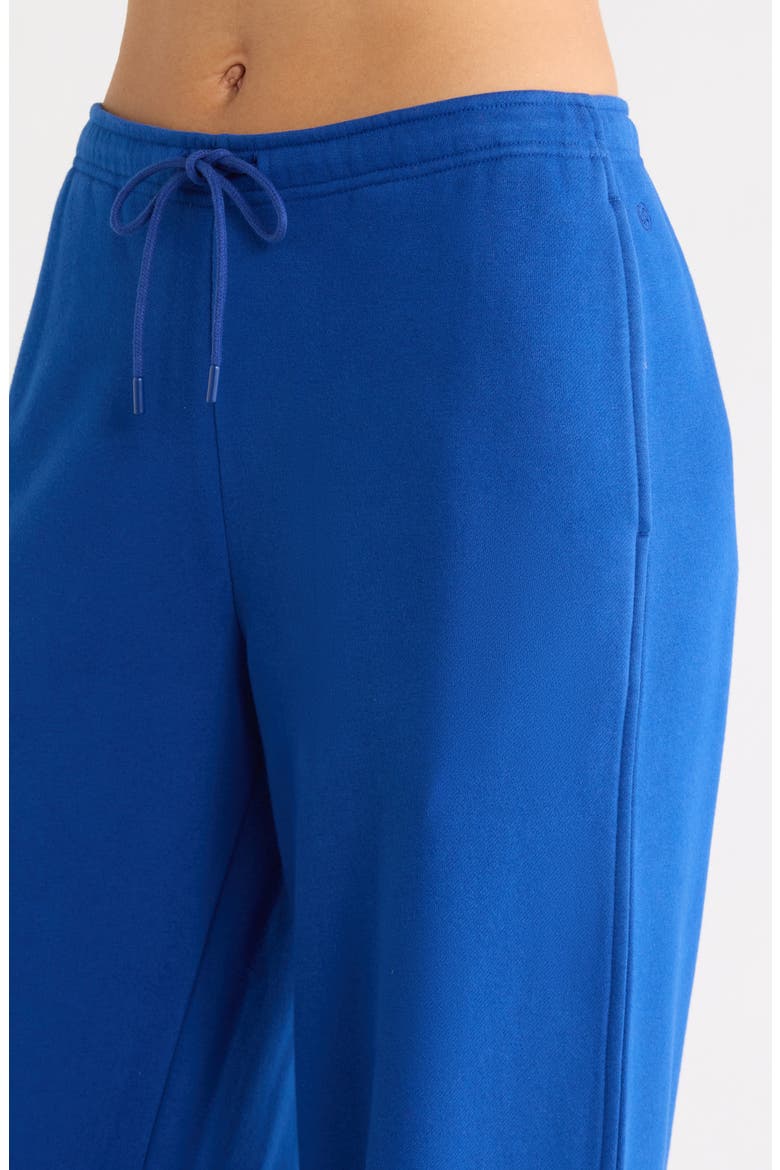 Ultra Cozy Fleece Wide Leg Pants, Alternate, color, BLUE SODALITE