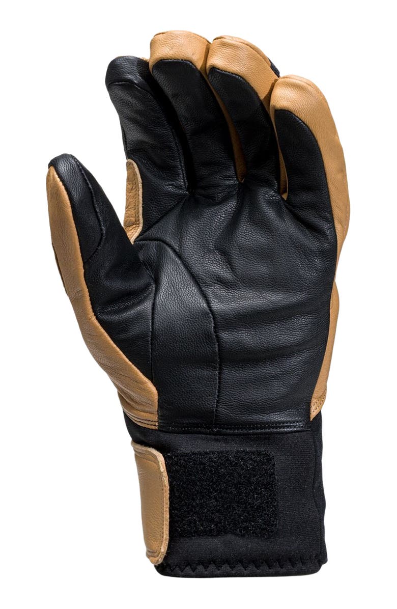 Backcountry GORE-TEX Snow Glove, Alternate, color, Pika/Black