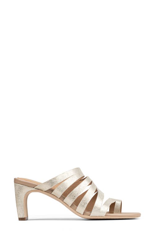 DONALD PLINER DONALD PLINER HAVANNA SANDAL 