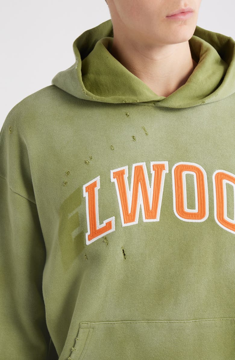 Elwood Fireside Distressed Logo Hoodie, Alternate, color, Washed Green