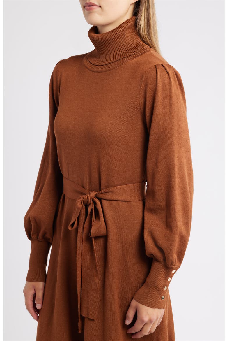 Turtleneck Long Sleeve Midi Dress, Alternate, color, BROWN