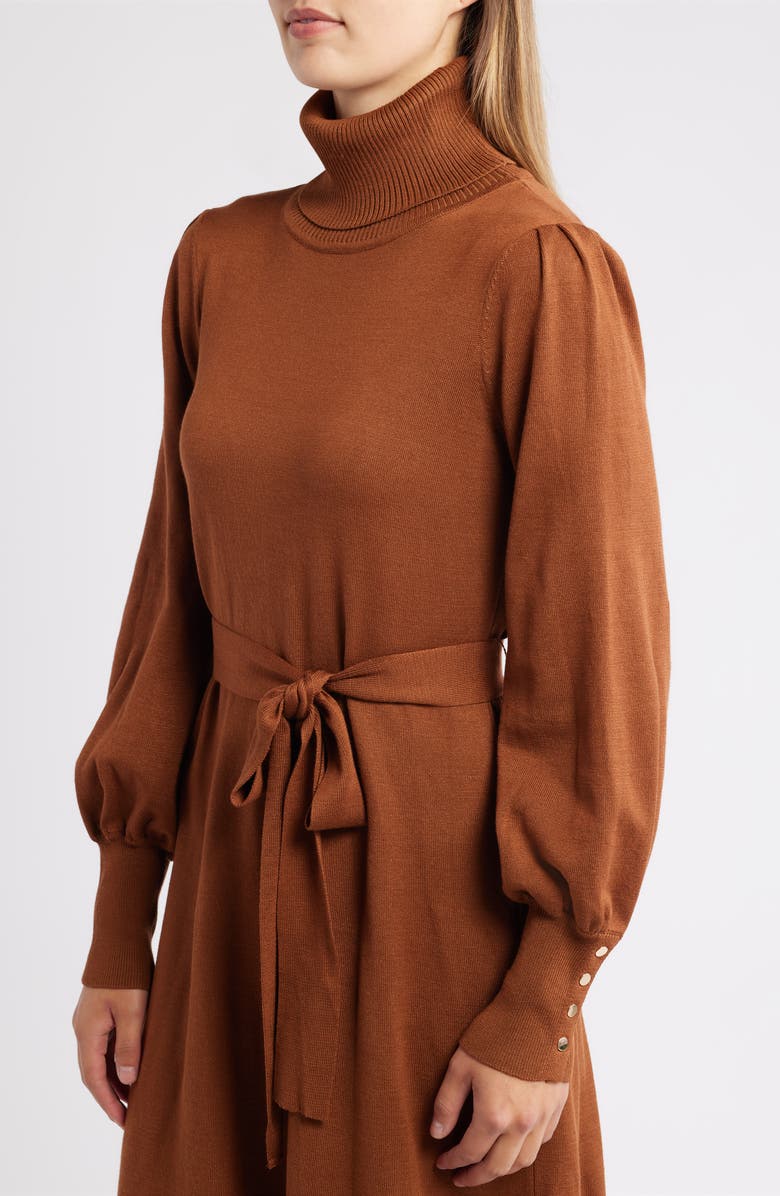 Julia Jordan Turtleneck Long Sleeve Midi Dress, Alternate, color, Brown