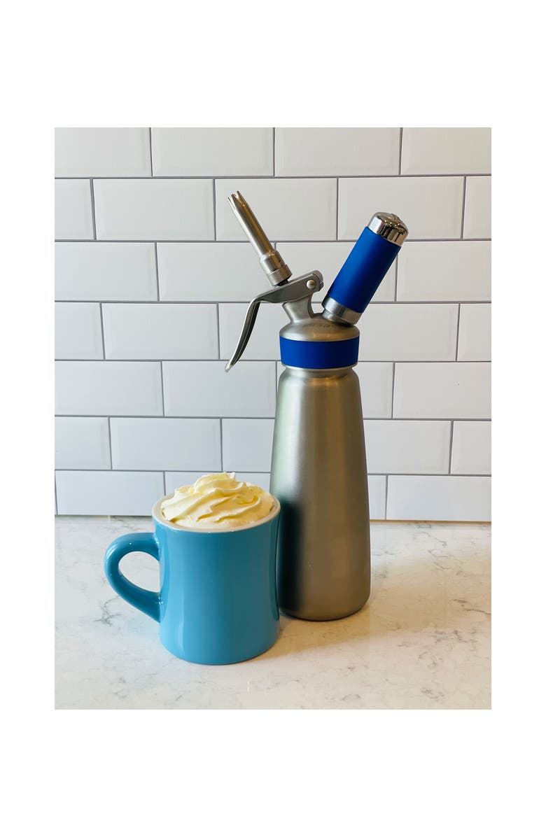 FRIELING by Mosa Master Whipper Professional Cream Whipper, Alternate, color, Silver  1 Liter