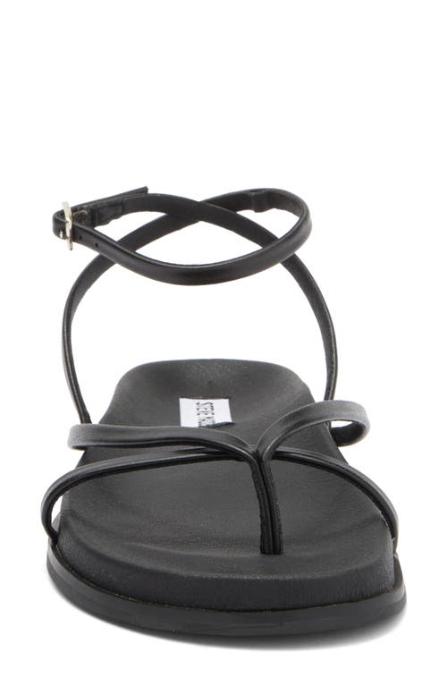 Steve Madden Lennee Sandal In Black