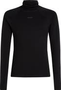 Icebreaker 300 Polar MerinoFine Turtleneck Top