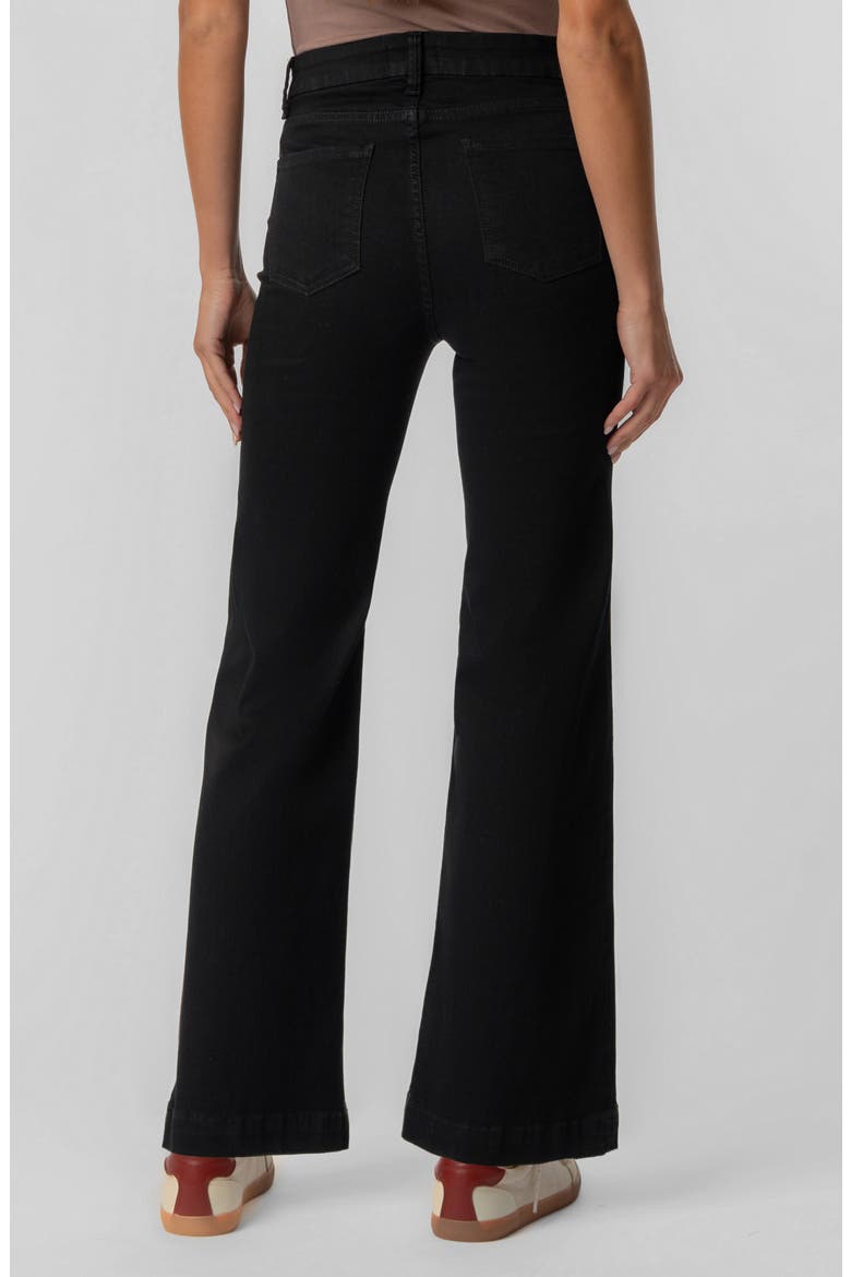 Meg Fab Ab High Waist Ankle Wide Leg Jeans, Alternate, color, BLACK