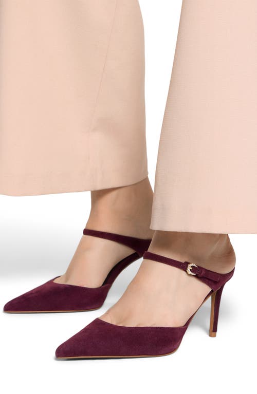 Aldo Sidnney Pointed Toe Pump In Burgundy