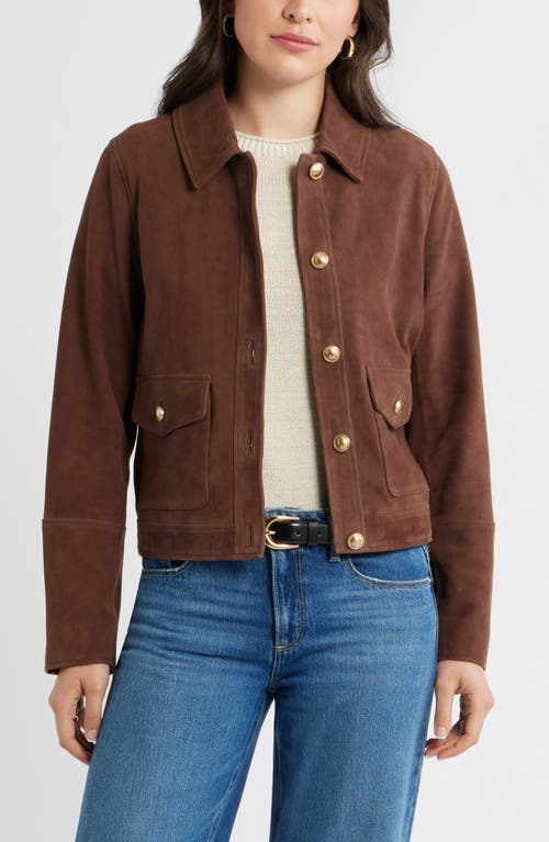 caslon(r) Button Front Suede Jacket in Brown at Nordstrom, Size Medium