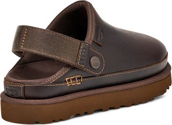 Goldenstar Clog