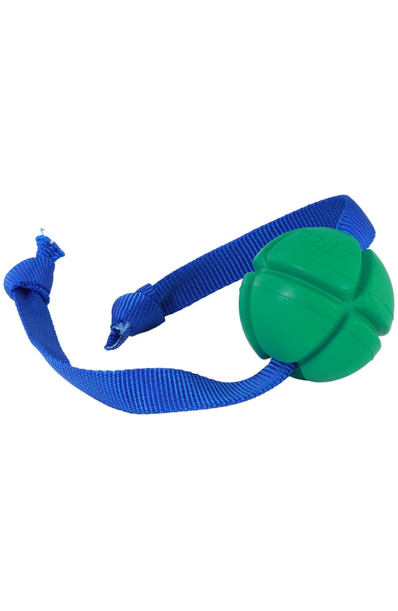 PetKORE FloTex Tug, Large, 3.25 Inches, Green, Rubber Dog Toy, Alternate, color, Green