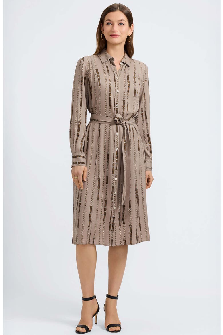 Fiona Chain Stripe Belted Shirtdress, Alternate, color, BROWN MULTI