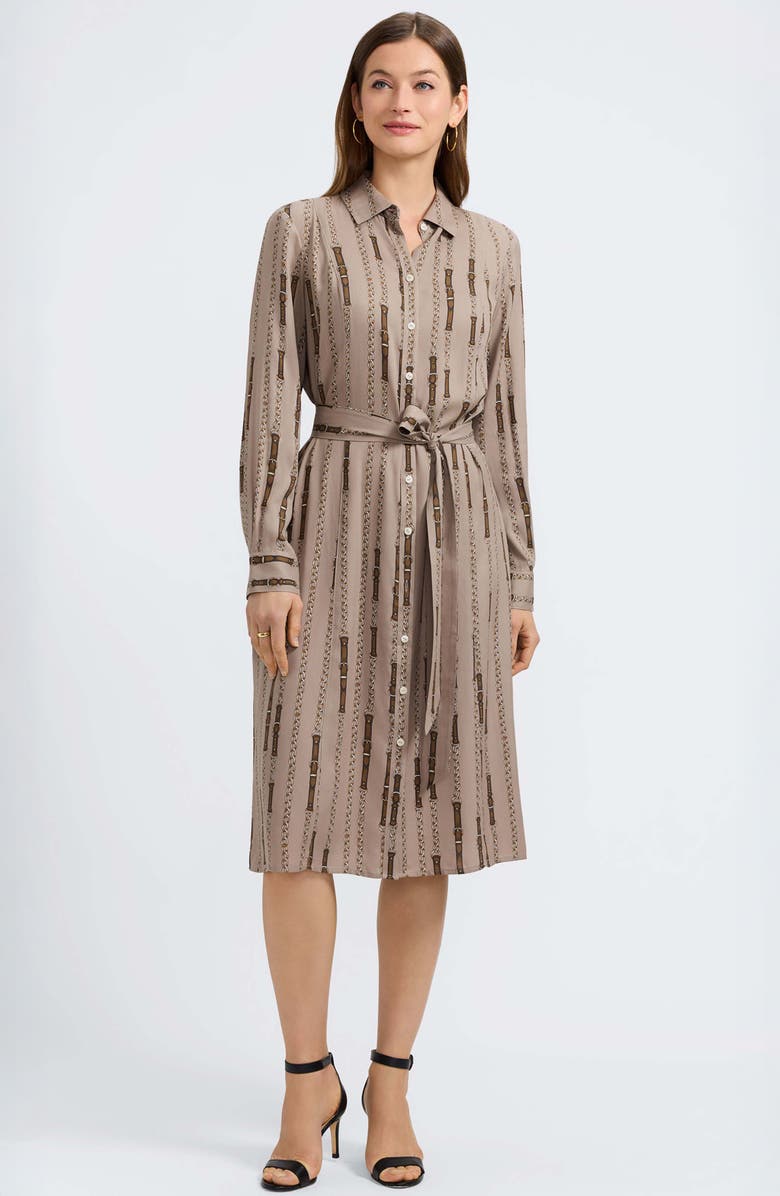 Foxcroft Fiona Chain Stripe Belted Shirtdress, Alternate, color, Brown Multi