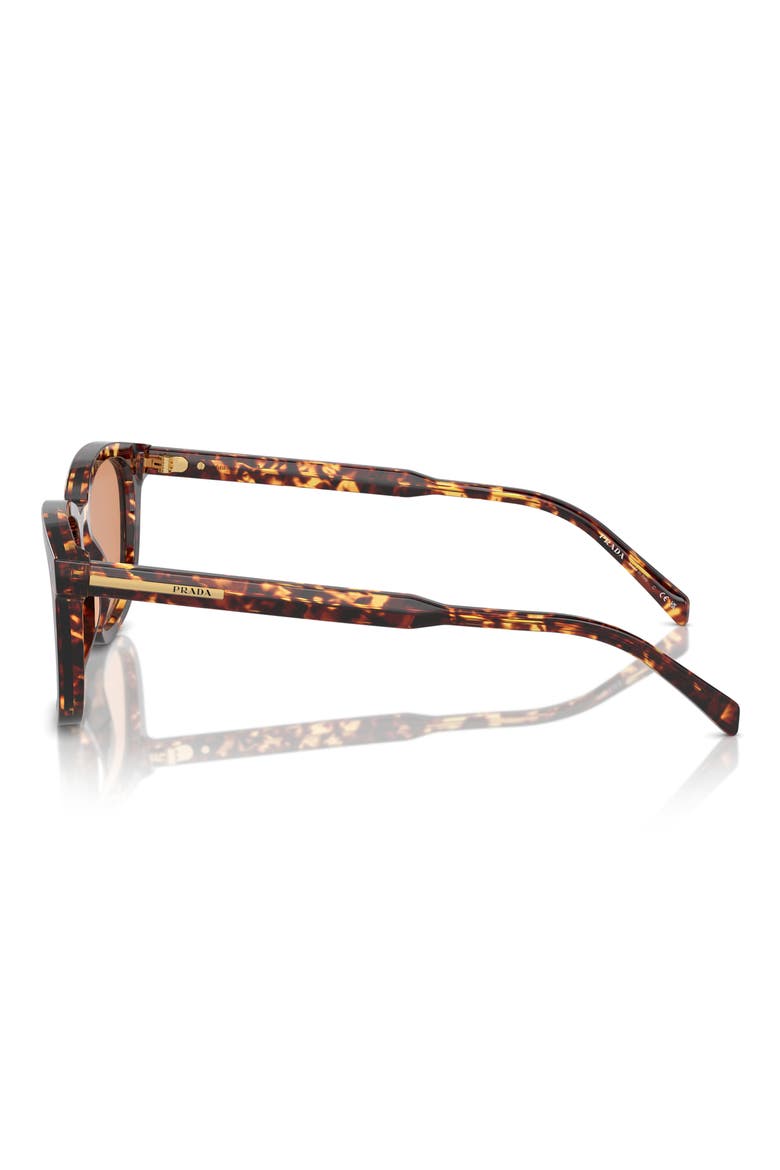 55mm Pillow Sunglasses, Alternate, color, HAVANA/ ORANGE