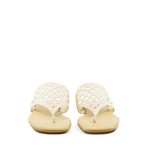 Andrea Gomez Brenda Flat