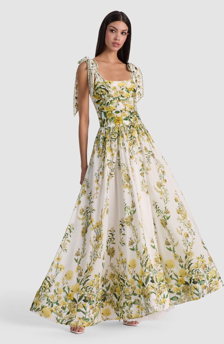 Alice + Olivia Haven Cotton & Silk Fit & Flare Maxi Dress, Alternate, color, Fresh Air Butter