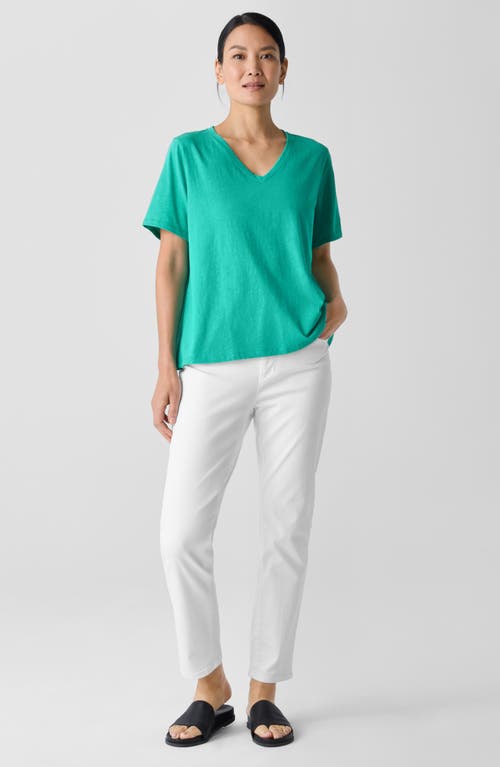 Eileen Fisher Easy V-neck Organic Cotton T-shirt In Jade