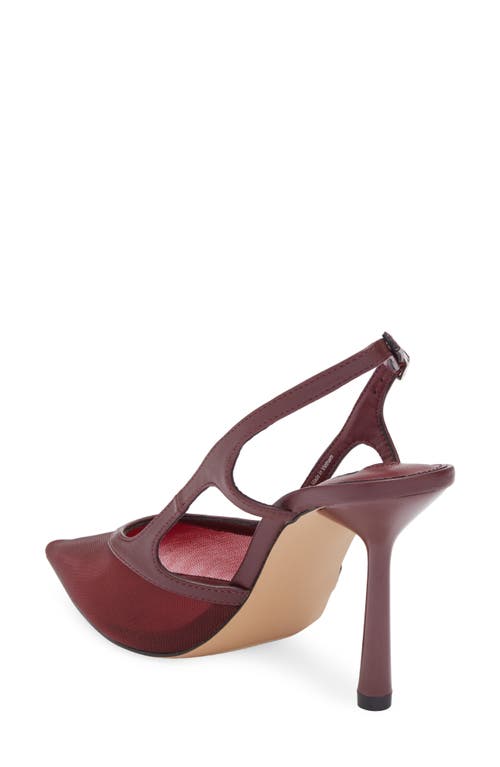 Steve Madden Scotlynn Slingback Pump In Burgundy